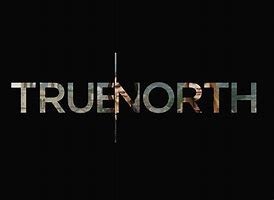 WordPress免费作品集主题 True North-玩转网