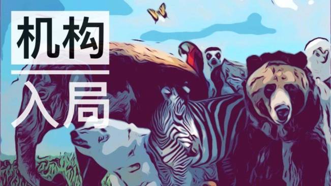 传统机构加速入局加密货币,春天来了?-玩转网