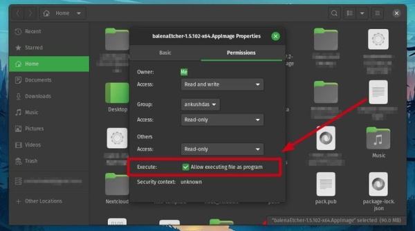 图片[5]-如何在Linux上安装和使用Etcher来制作Linux临场USB-玩转网