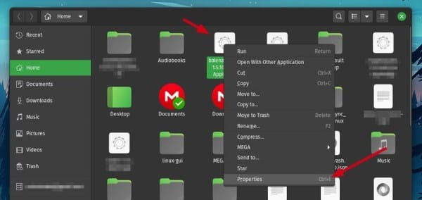 图片[4]-如何在Linux上安装和使用Etcher来制作Linux临场USB-玩转网