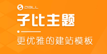 Zibll子比主题正确使用自定义代码示例及教程-玩转网