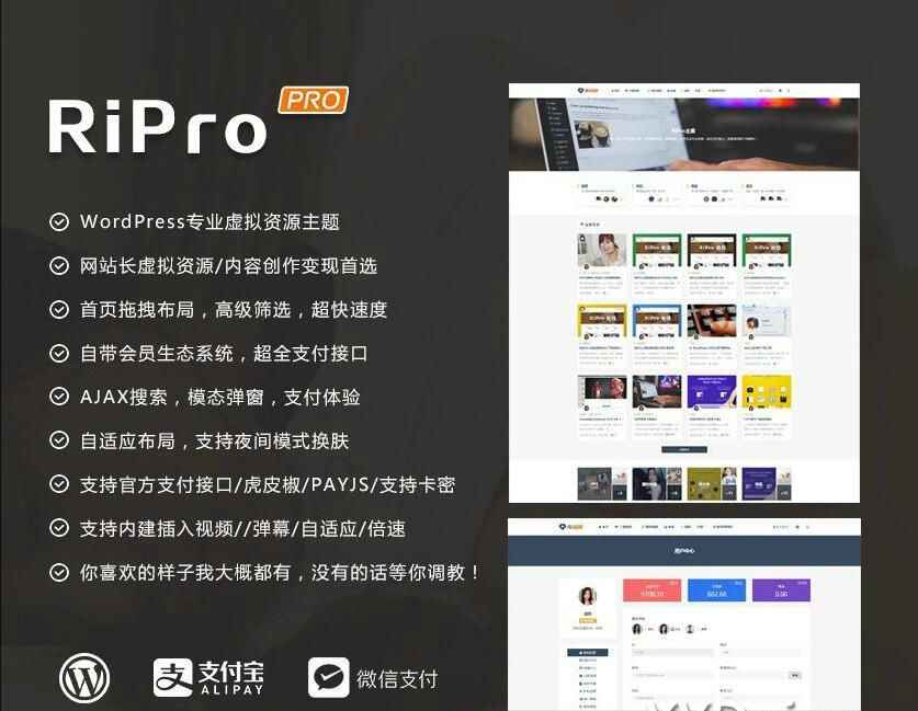 RIPro主题 v7.2 免授权修复后门完美版-玩转网