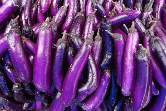 图片[2]-紫色茄子的功效它还有些什么作用？可以让大家多了解一下。-玩转网