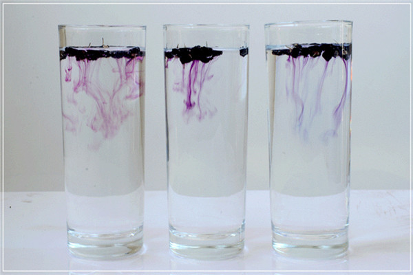 黑枸杞的功效还比不上茄子皮吗? 黑枸杞到底有没有用-玩转网