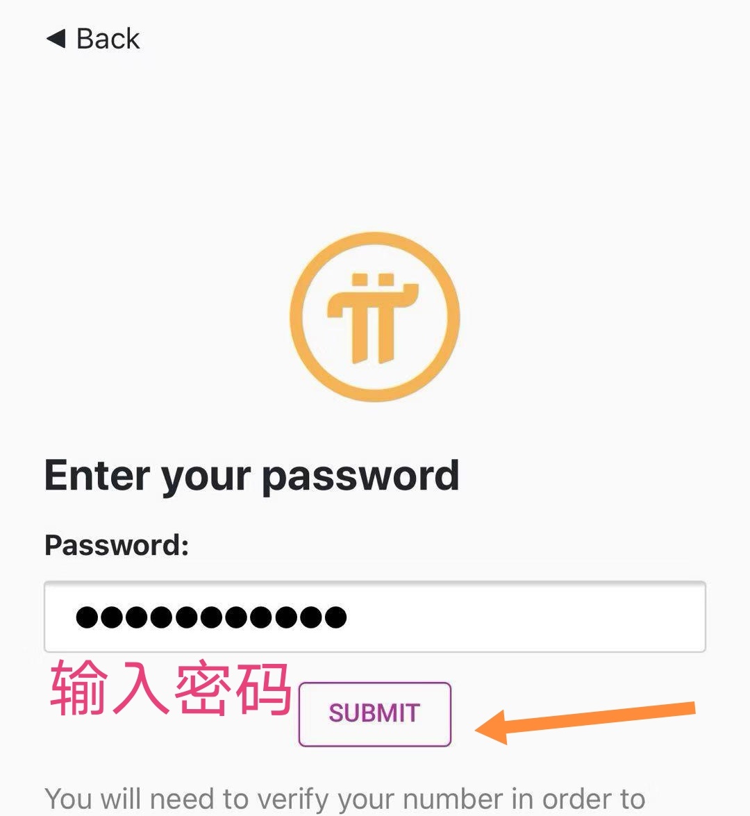 图片[10]-重磅来袭！Pi浏览器发布！手机端pi钱包功能同步释放！（附教程）附安卓下载-玩转网