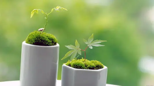 妈妈用农药给女儿焗头驱虱，害她进ICU差点丢性命…土方慎用！-玩转网