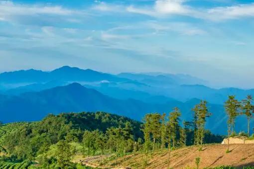 图片[4]-非农户口真的可以迁回农村吗？ 专家提出：满足其一便能迁回！-玩转网