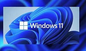 Win11优化 Windows 11 Manager v1.1.6 免激活便携版-玩转网
