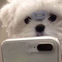 图片短视频项目,0成本既可操作,轻松日入几百块-玩转网