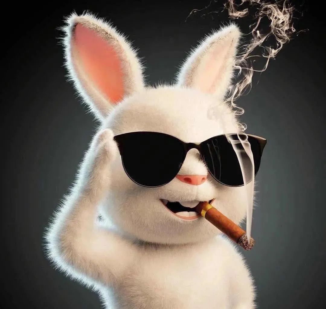 图片[16]-双十一微信QQ头像丨让你被人追着加微信-玩转网