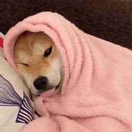 双十一微信QQ头像丨让你被人追着加微信-玩转网