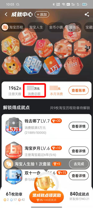 图片[5]-教你怎么查看在淘宝一共花了多少钱-玩转网