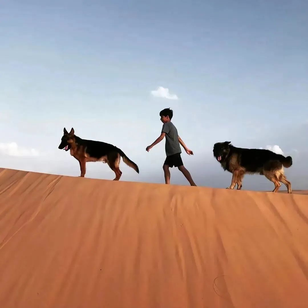 图片[2]-适用于微信QQ抖音头像，放大招了！-玩转网