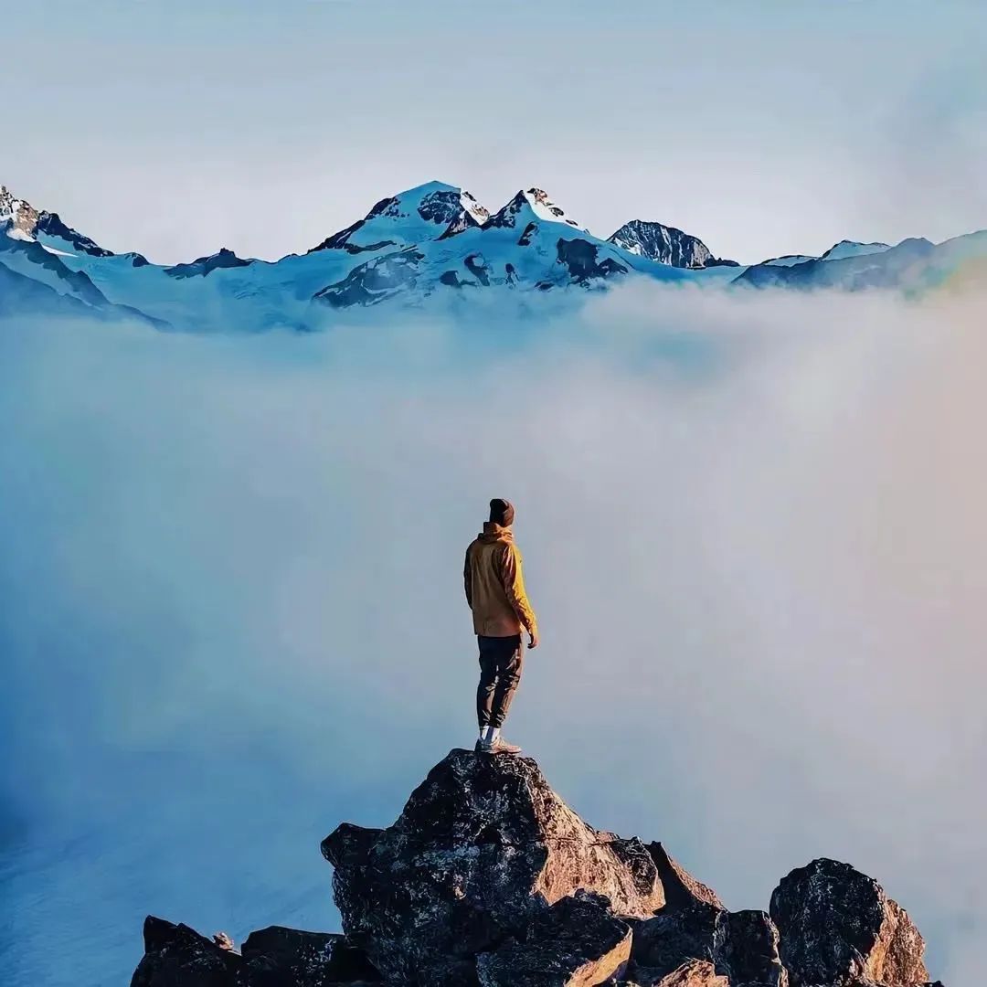 图片[7]-适用于微信QQ抖音头像，放大招了！-玩转网