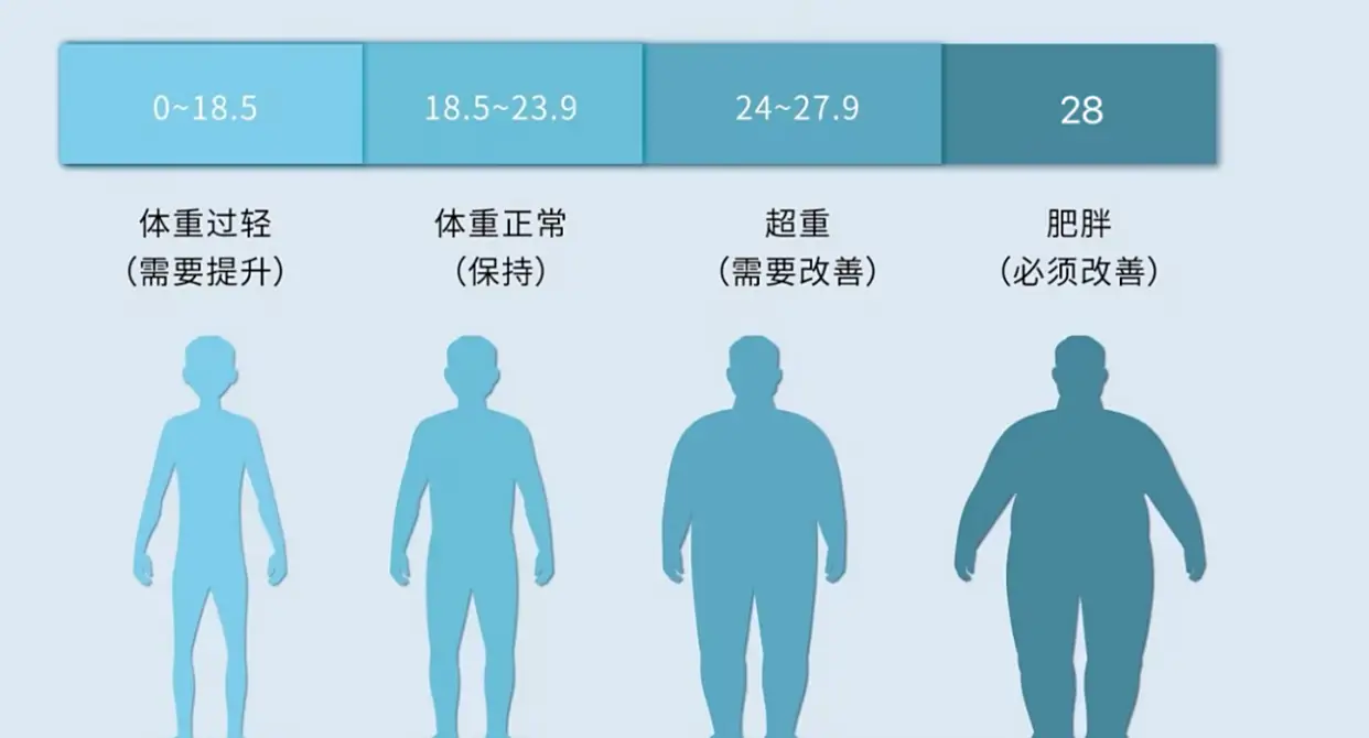 图片[2]-国家喊你减肥啦!全国肥胖地图曝光,北方人看完默默放下馒头-玩转网