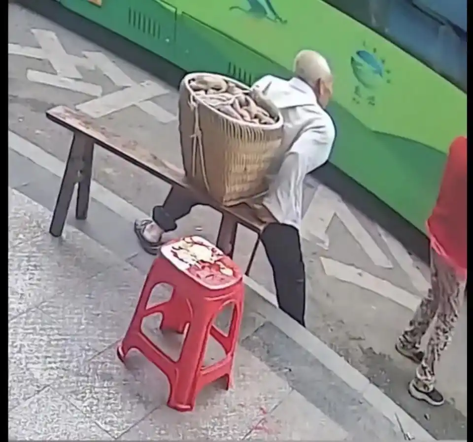 图片[1]-重庆一背篓老人等公交被拒载，当地交通运输局：涉事司机已被开除-玩转网