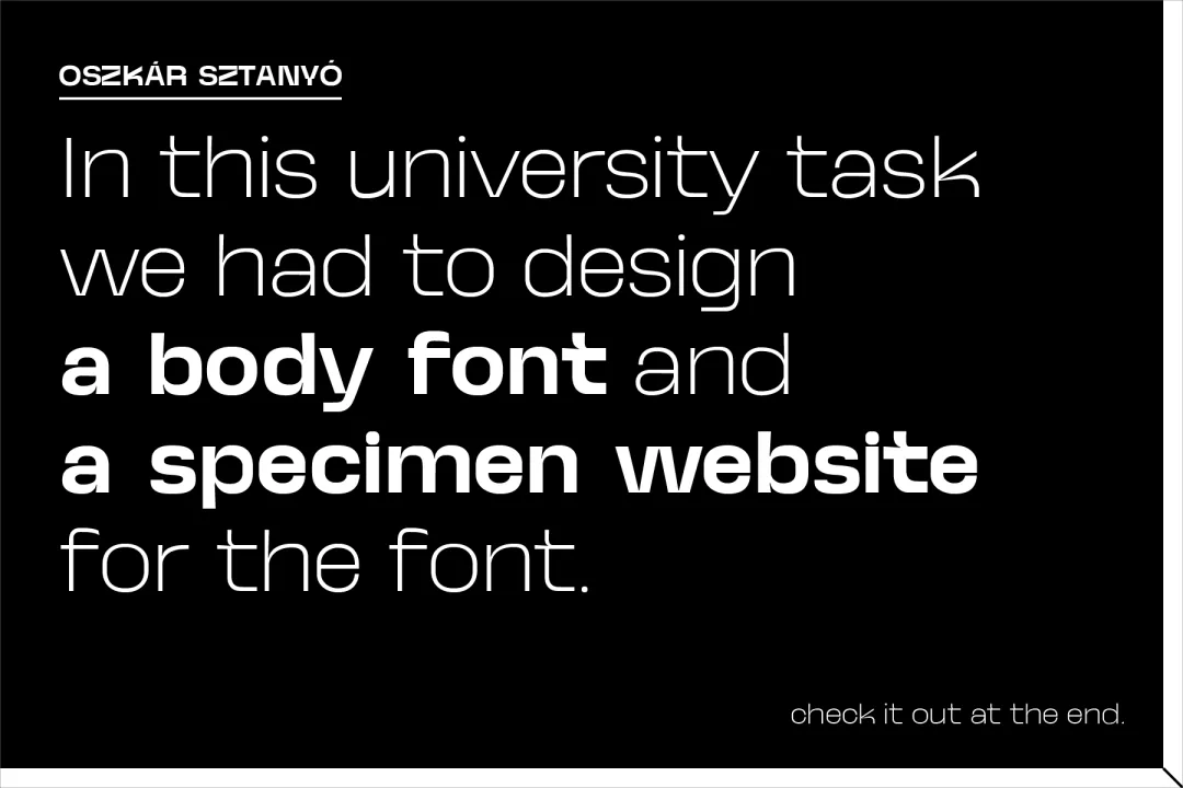 图片[14]-试试这款免费的Neue Kaine，现代简洁的无衬线字体-玩转网