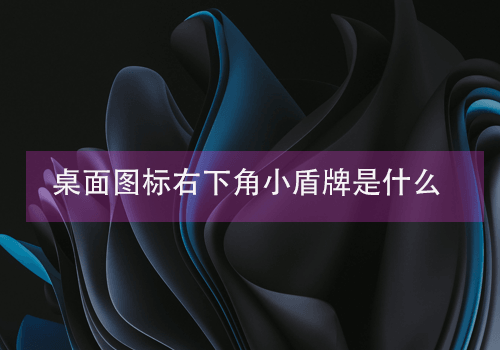 桌面图标右下角小盾牌是什么?Windows11或10桌面图标右下角小盾牌如何去掉?-玩转网