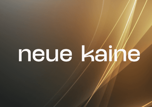 试试这款免费的Neue Kaine，现代简洁的无衬线字体-玩转网