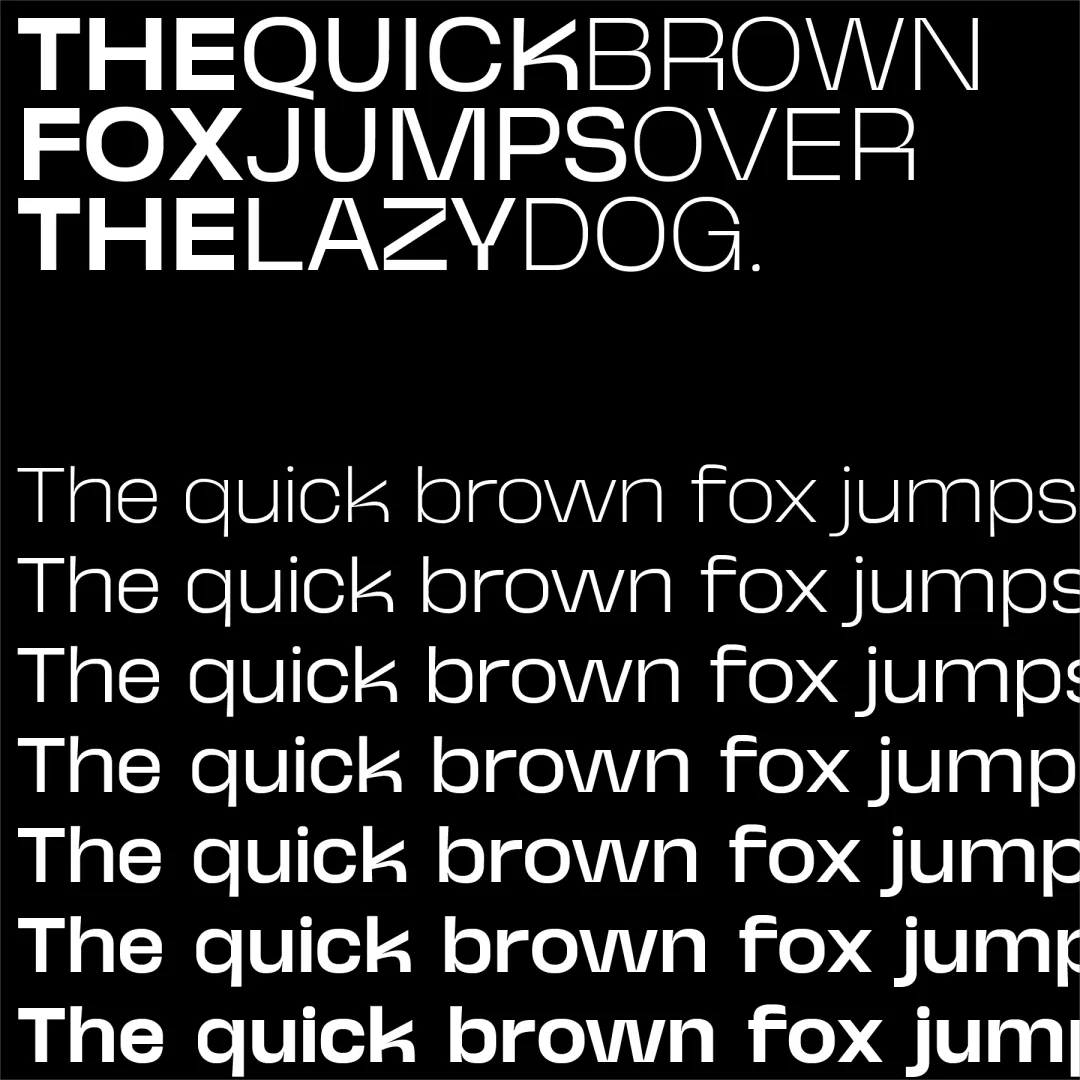 图片[11]-试试这款免费的Neue Kaine，现代简洁的无衬线字体-玩转网