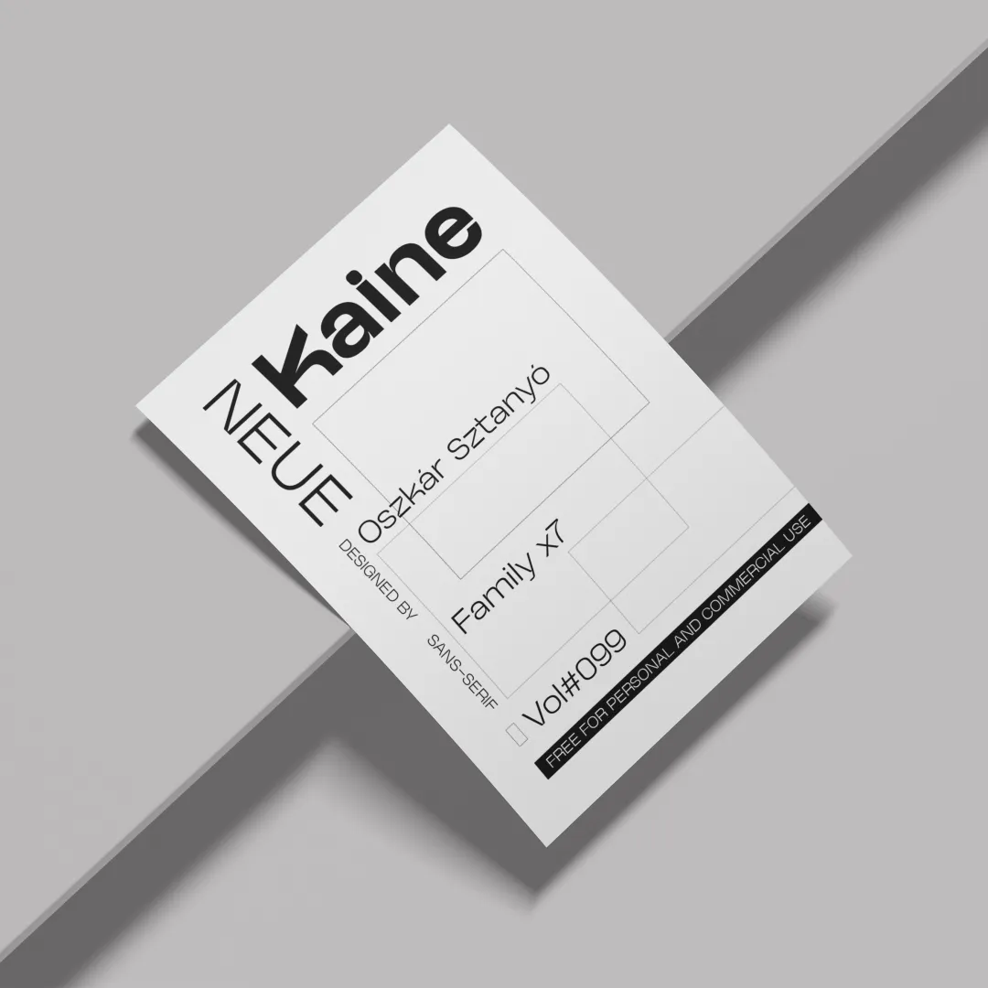 图片[3]-试试这款免费的Neue Kaine，现代简洁的无衬线字体-玩转网