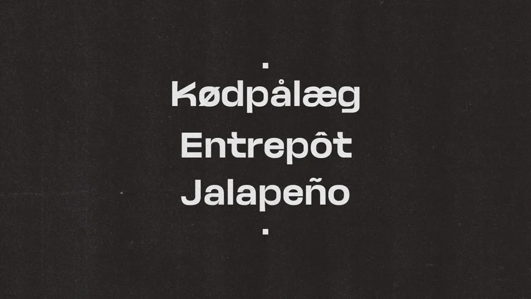 图片[19]-试试这款免费的Neue Kaine，现代简洁的无衬线字体-玩转网