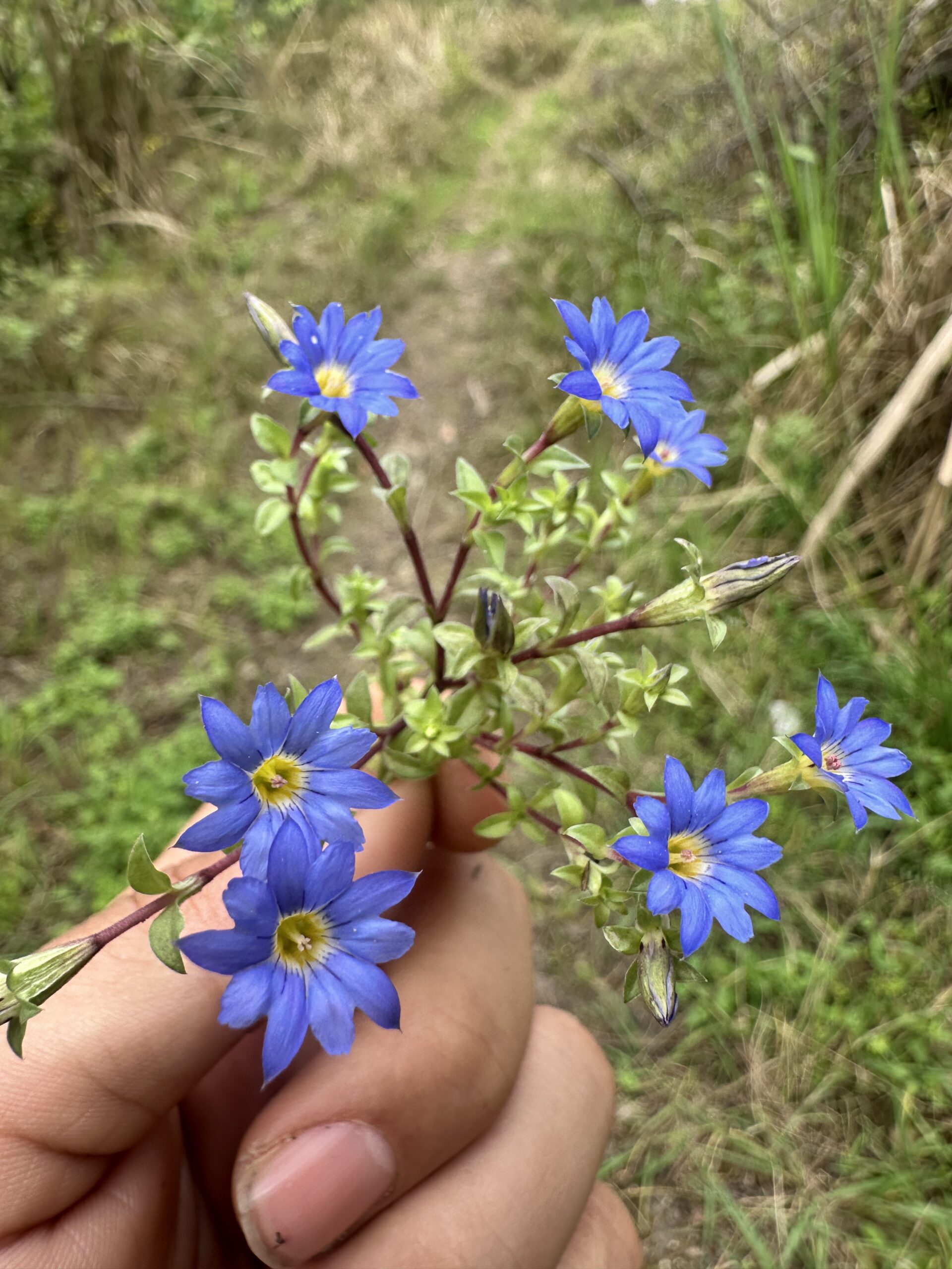 玩转网_网站源码下载_各类教程大全_WordPress美化教程_实用软件免费下载