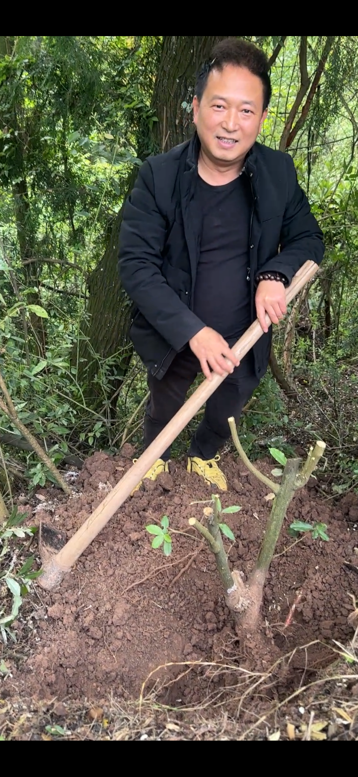 玩转网_网站源码下载_各类教程大全_WordPress美化教程_实用软件免费下载