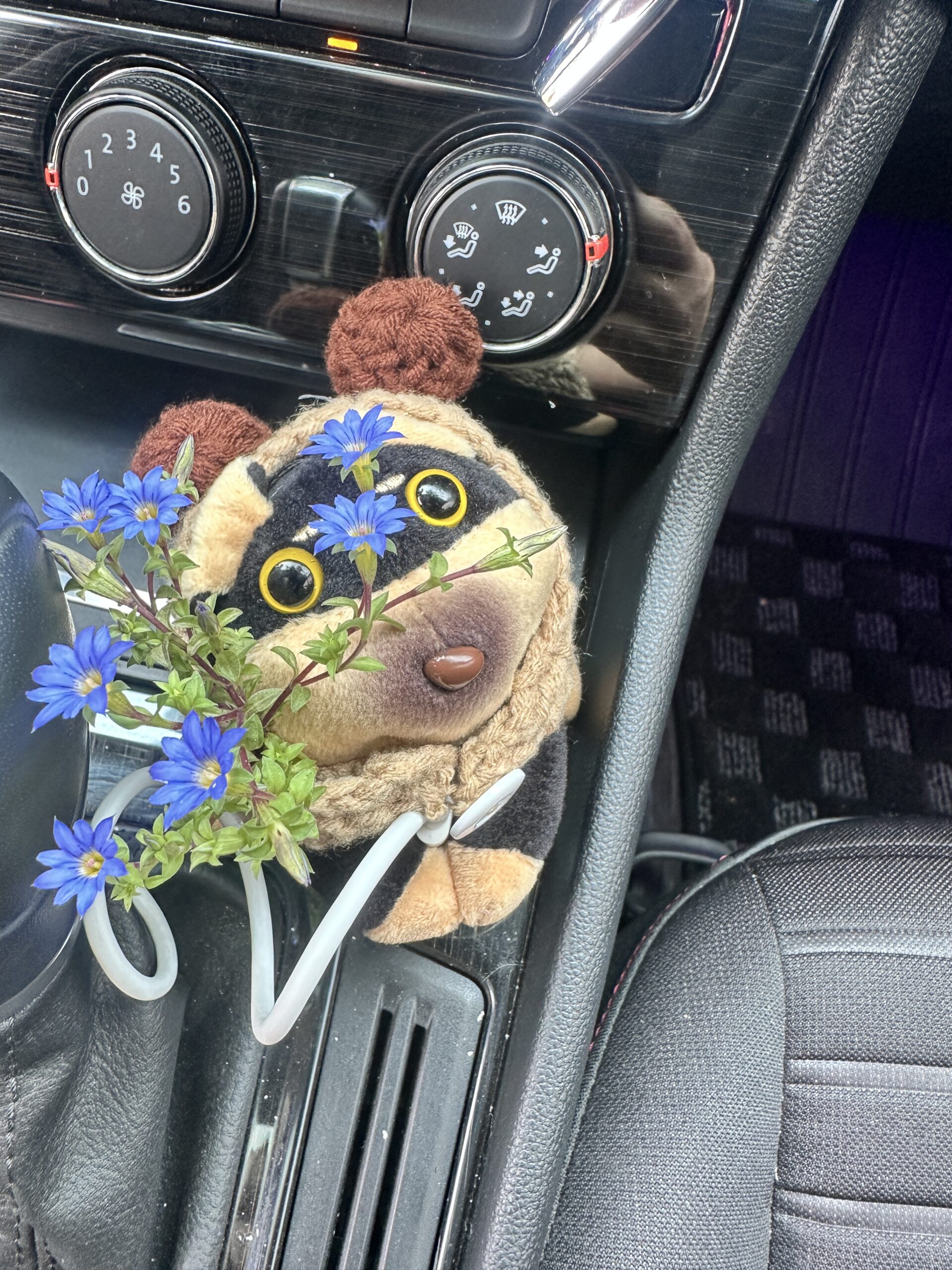 玩转网_网站源码下载_各类教程大全_WordPress美化教程_实用软件免费下载